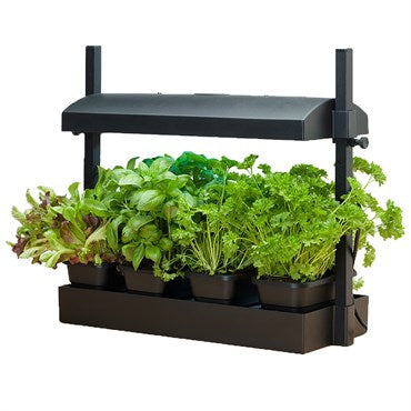 SunBlaster Growlight Micro Garden Equipment Sunblaster Holdings ULC