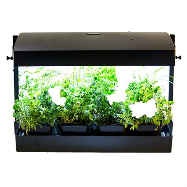 Sunblaster LED Grow Light Garden Equipment Sunblaster Holdings ULC