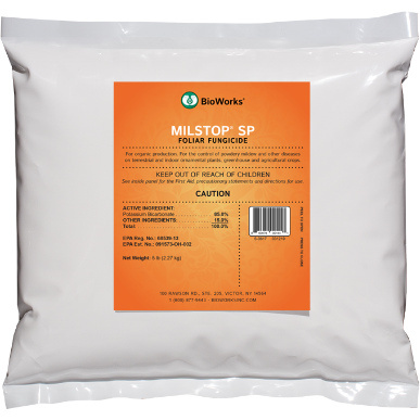 MilStop SP Organic Fungicide Disease Control BioWorks