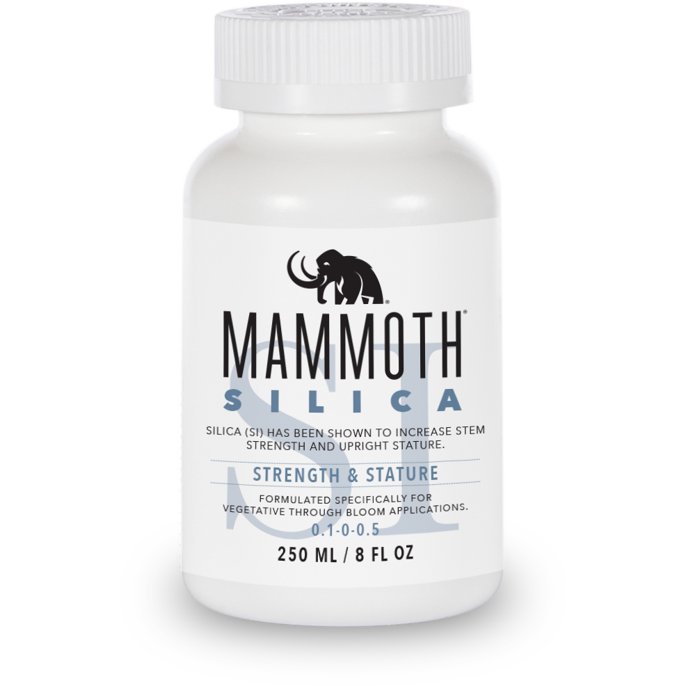 Mammoth Silica GrowItNaturally.com