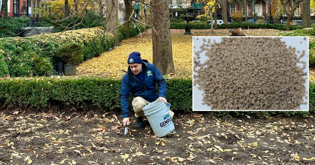 How Do Organic Turf Management Consultants Promote Soil Health and Biodiversity?