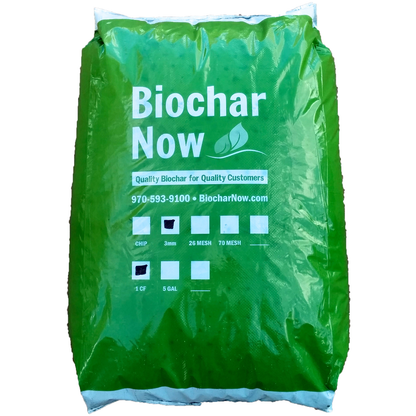 Biochar Now