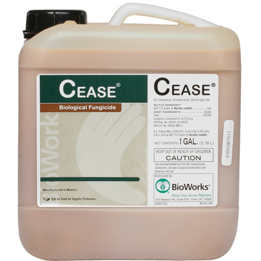 CEASE Biological Fungicide Disease Control BioWorks