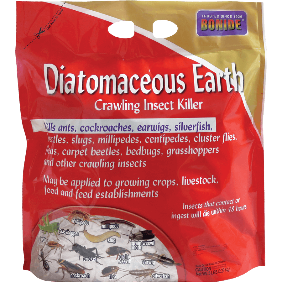 diatomaceous earth