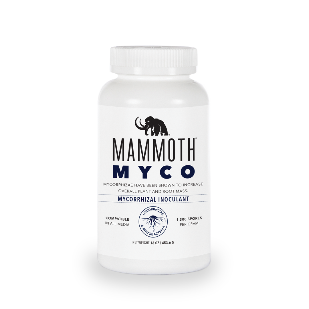 Mammoth Myco GrowItNaturally.com