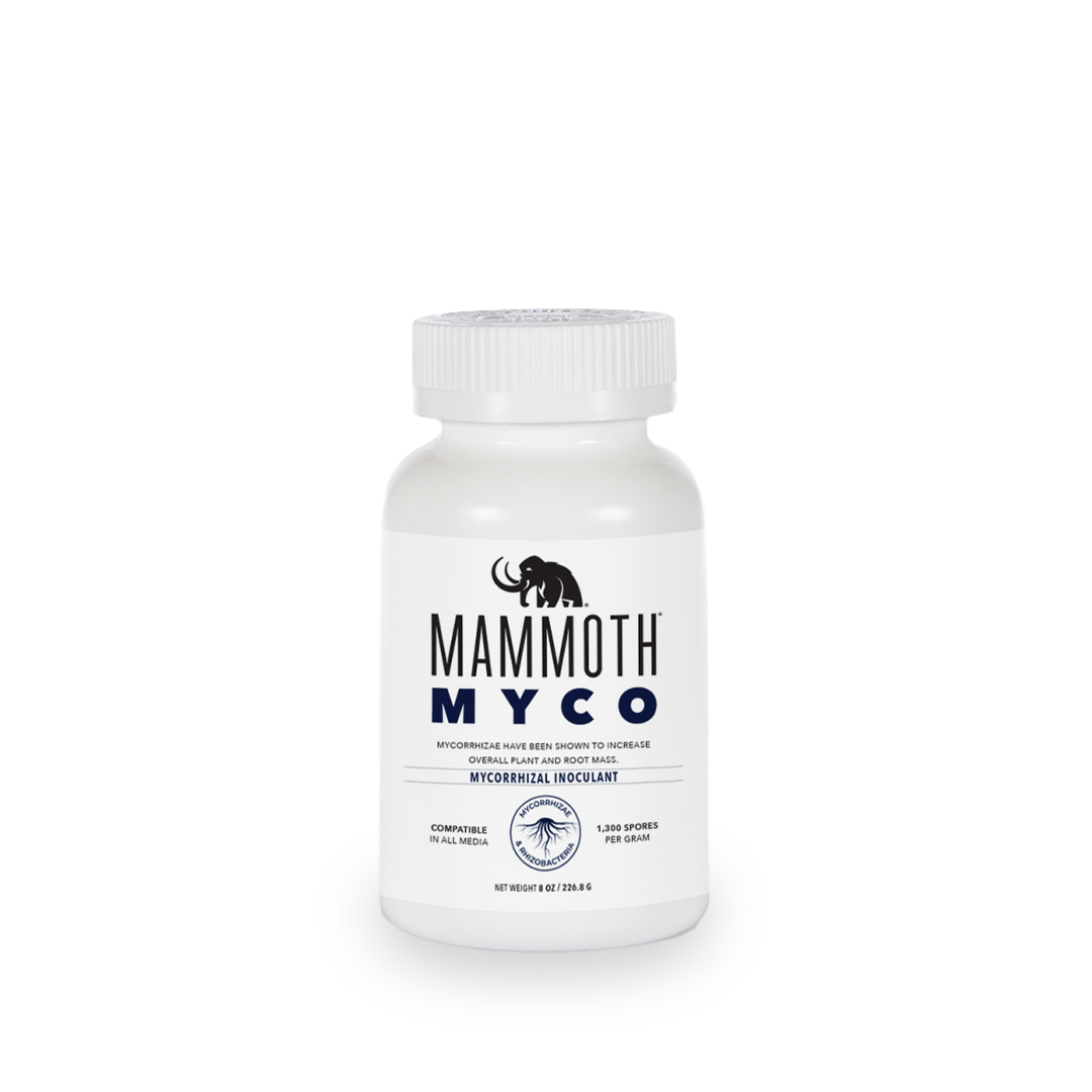 Mammoth Myco